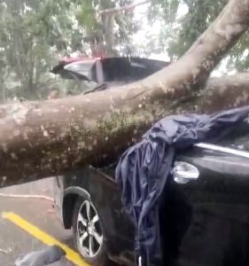 Screenshot_20250513-201411