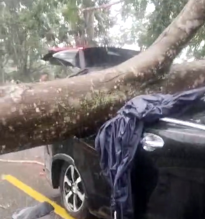 Screenshot_20250513-201411