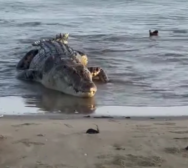 Screenshot_20250529-144735